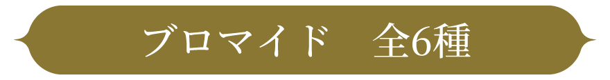 ブロマイド　全６種