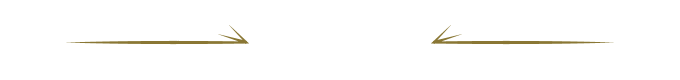 開催概要