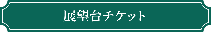 展望台チケット