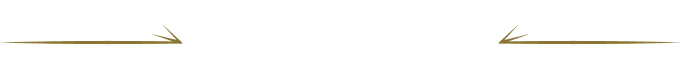 施設概要